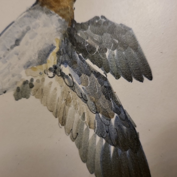 Guillot Curard Hand Painted Duck Mallard Porcelain Bisque Plate Wall Hanging - Picture 4 of 8